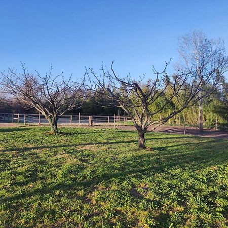 Maison A La Campagne Bouchet  Exteriér fotografie