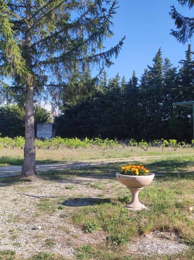 Maison A La Campagne Bouchet  Exteriér fotografie