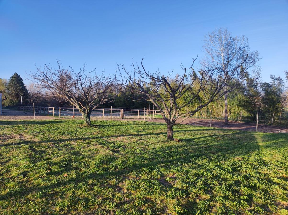 Maison A La Campagne Bouchet  Exteriér fotografie